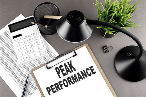 Tips For Achieving Peak Performance In Your Field Alka Dhillon