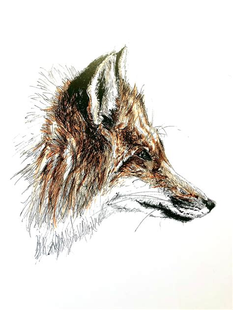 Coloured Fox Sketch - Etsy