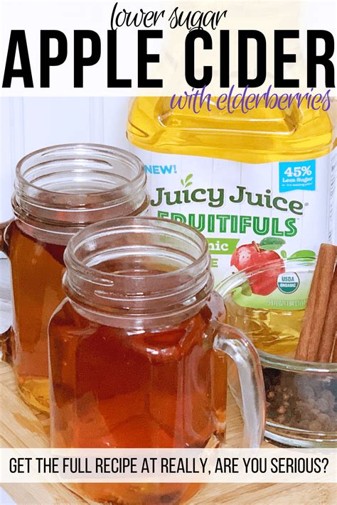 Lower sugar apple cider with elderberries • Really, Are You Serious?