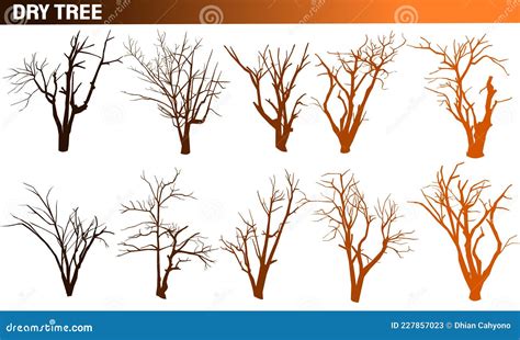 Collection Of Naked Trees Silhouettes Set Dry Trees Stock Vector