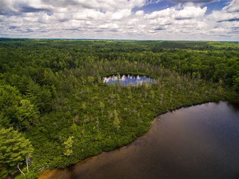 Upper Manistee Headwaters: The Milock Family Preserve - Grand Traverse