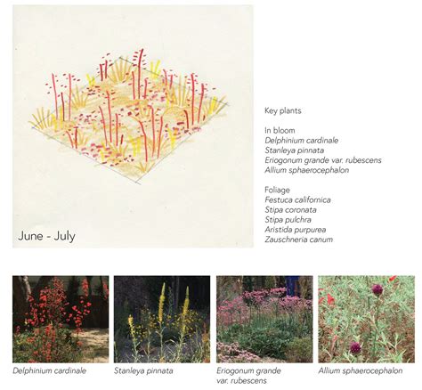 Best 13 Piet Oudolf’s New Garden Book, “Plantings” – Artofit