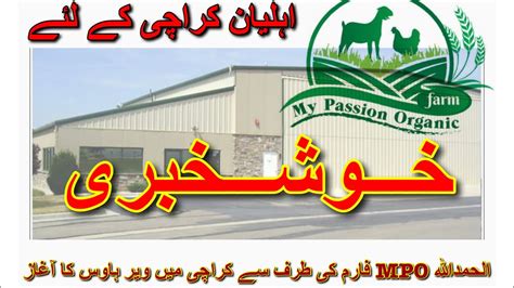 Now Alfalfa Hay Is Available In Pakistans Biggest City Karachi Youtube