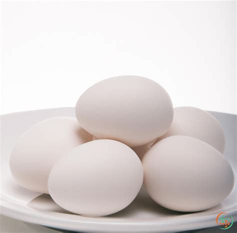 Turkey Eggs: Complete Nutrition Data | Food Fact