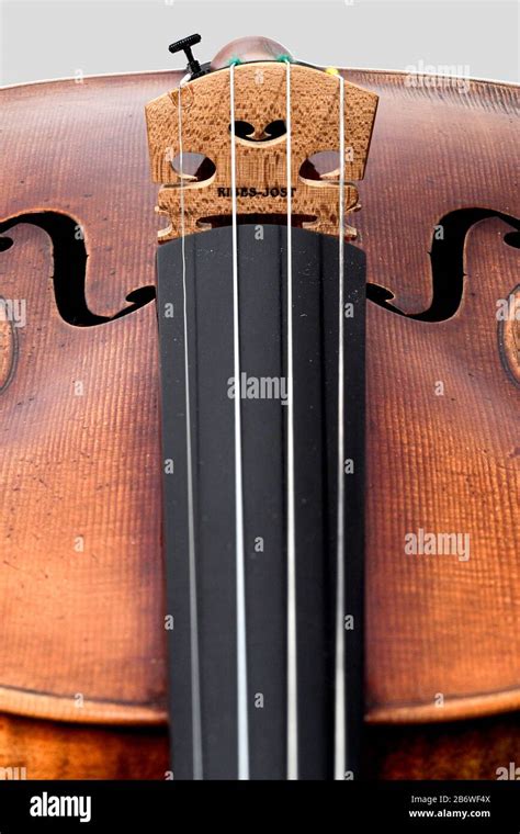 Violin stringed instrument studio photos Stock Photo - Alamy