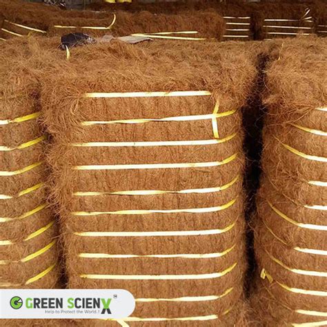 Coir Coco Fiber Green Scienx