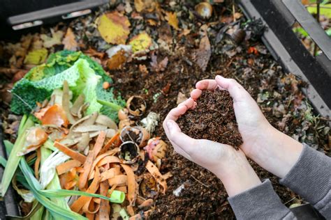 How To Make Compost Easy Steps Living Earth