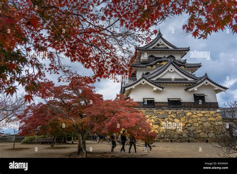 Autumn at Hikone Castle. Hikone castle is 1 of 12 original castles in Japan - Shiga Prefecture ...