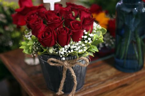 Rose Bucket Photos, Download The BEST Free Rose Bucket Stock Photos ...