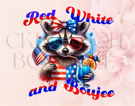 American Patriotic Png Funny Raccoon Svg 4th Of July Tshirt Png