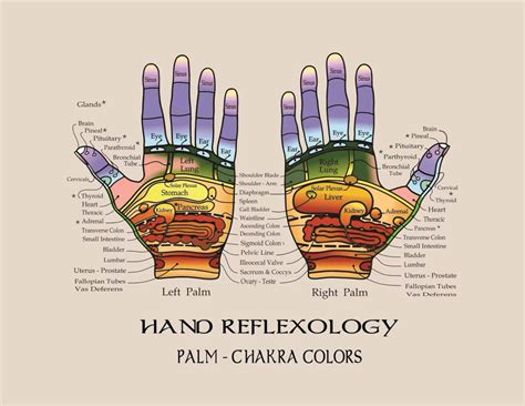 Massage Reflexology Hand Charts Wall Decor Art Print Poster Etsy Handreflexzonenmassage