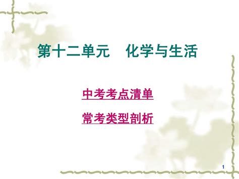 【2014年中考化学考点清单】总复习课件第12单元 化学与生活word文档在线阅读与下载无忧文档