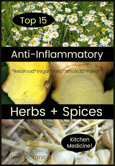 15 Top Anti Inflammatory Herbs And Spices Studio Botanica