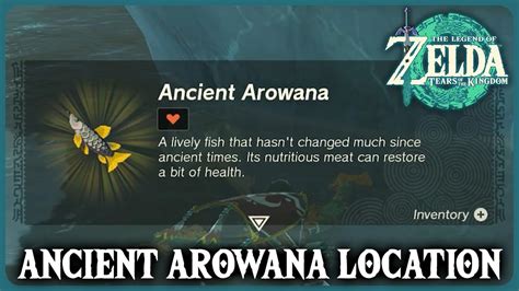 Where To Find Ancient Arowana Zelda Tears Of The Kingdom Youtube