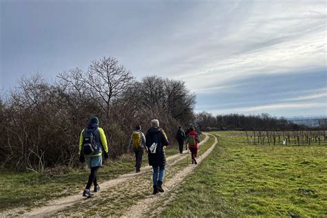 Stadtwanderweg 7 Ab in den Süden Bahn zum Berg