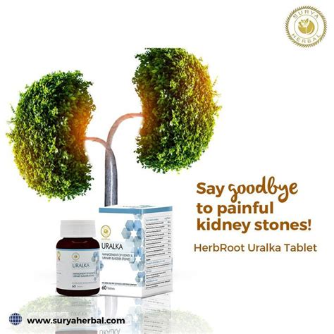 Pin On Ayurvedic Herbal Health Care Product