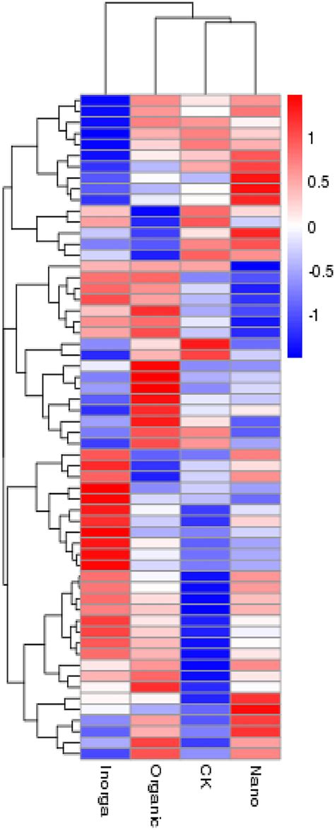 Gene Clustering Heat Map Of Flavonoid Biosynthetic Pathway Different