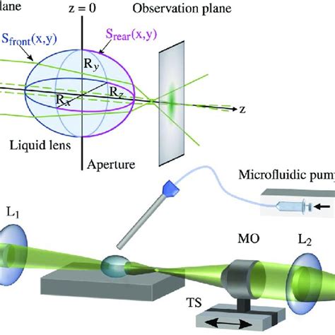 Concept Of Shaping Light By Biconvex Droplet Lenses A Beam Download Scientific Diagram