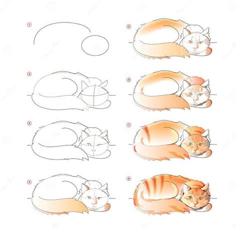 Cómo Aprender A Dibujar Un Boceto De Un Lindo Ginger Cat Dormido Creación Paso A Paso De