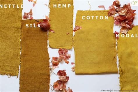 Natural Dye With Onion Peel A Humble Shade Card Natural Dye Fabric