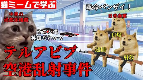 猫ミームで学ぶテルアビブ空港乱射事件 猫マニ 猫ミーム Youtube