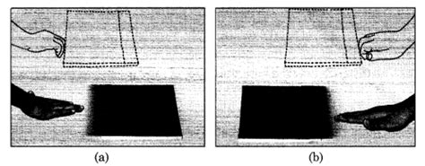 Ncert Solutions For Class Science Friction Chapter