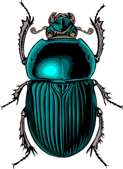 Scarab Beetle Sketch at PaintingValley.com | Explore collection of ...