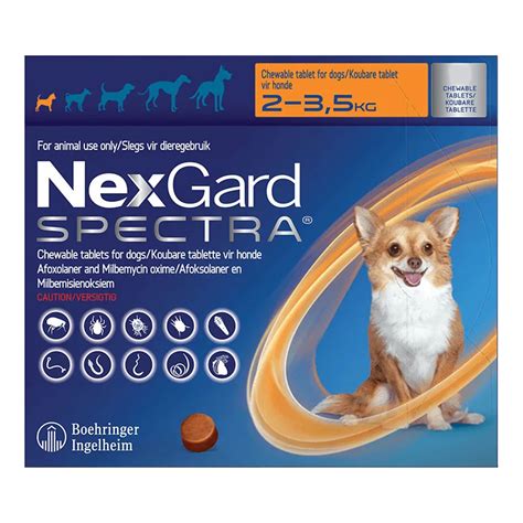 Nexgard Cats Dogs Flea