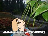 Gay metalheads from Outer Space в 2025 г Длинноволосые парни Длинноволосые мужчины Красивые