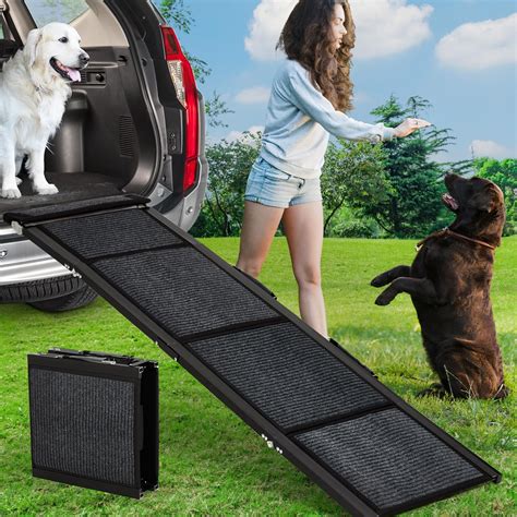 truck dog ramp 2