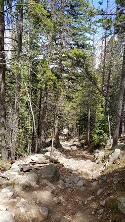 Bierstadt Lake Rocky Mountain National Park 2018 All You Need To