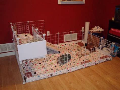 Our new HUGE 2-level guinea pig cage which we built!!!