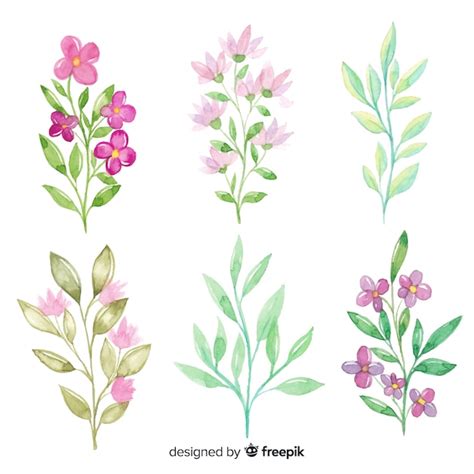 Free Vector Watercolor Floral Branch Collection