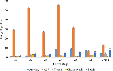 The Specific Activity Of Targeted Digestive Enzymes In U Mg Protein