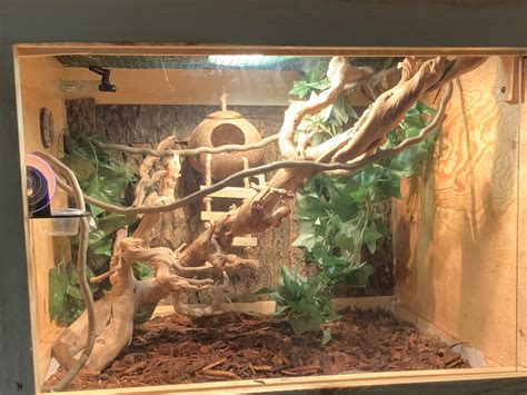 My gecko habitat! : r/geckos