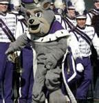 Jmu Mascot, Name, Colors, Logo, History, Costume