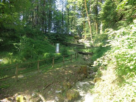 La Maison de la Flore à LONGCHAUMOIS, dans le Jura : Jura Tourisme