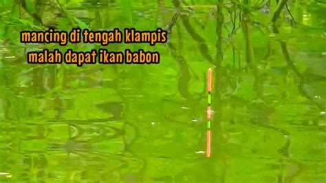 Gilaa Awalnya Dapat Ikan Kecil Tapi Endingnya Lihatlah Sendiri