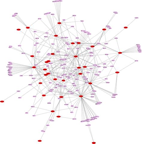 Confirmed Tf Transcription Factor Targeted Down Differentially