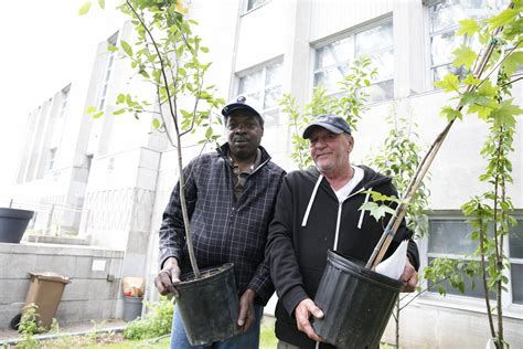 Acheter Votre Arbre Un Arbre Pour Mon Quartier