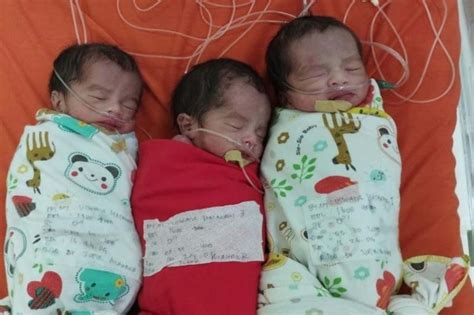 Ini Risiko Kehamilan Bayi Kembar Yang Perlu Diwaspadai Antara News