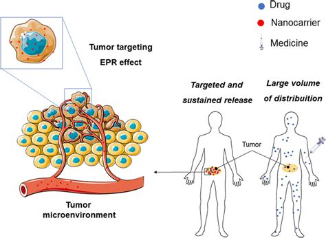 Nanotechnology Application In The Treatment Of Cancer Tumor Targeting