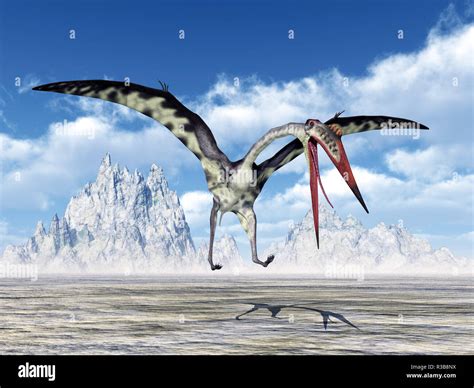 Quetzalcoatlus Hi Res Stock Photography And Images Alamy