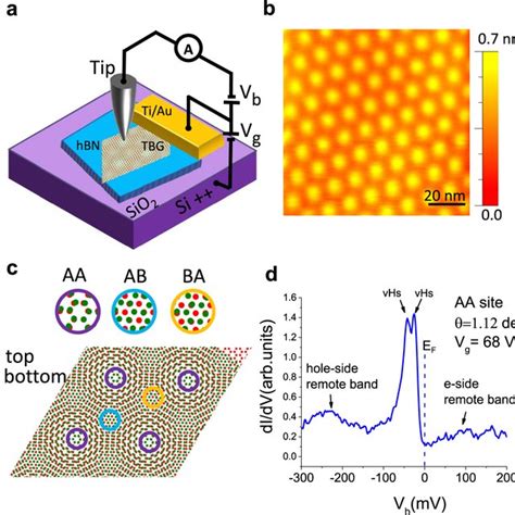 Stm Sts On Magic Angle Twisted Bilayer Graphene A Schematic Of The Stm Download Scientific