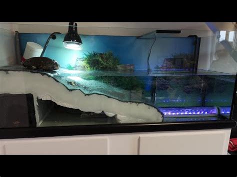 Aquarium Pour Tortue Partie Laquaterrarium Magicmanu