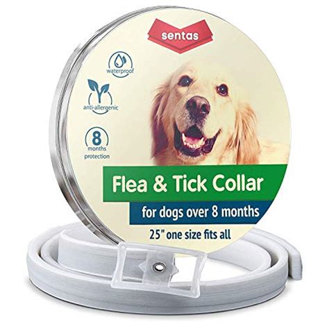 Flea collar | Flea and tick prevention for dogs | Flea collar for dogs ...