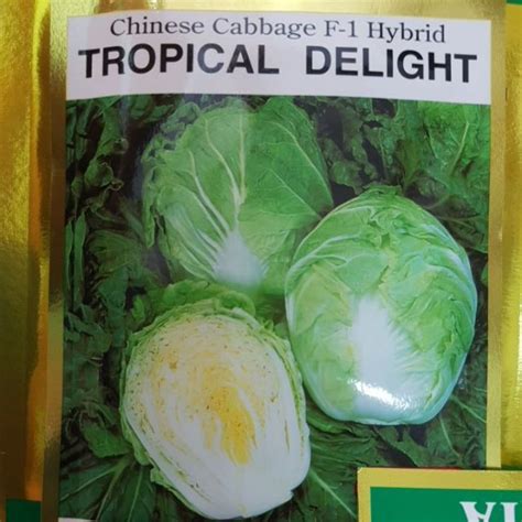 Sakata Chinese Cabbage Hybrid Tropical Delight Seedsbuy 1 Take 1 50