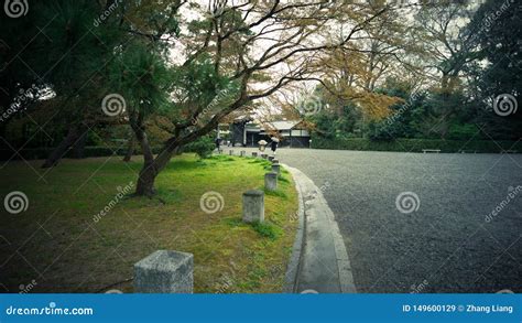 Sakura in Kyoto, Japan editorial stock image. Image of traditional ...