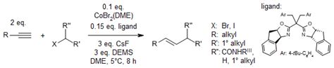 Ligand Controlled Cobalt Catalyzed Regiodivergent Alkyne Hydroalkylation