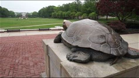 The luck of Testudo, UMd.'s mascot | wusa9.com